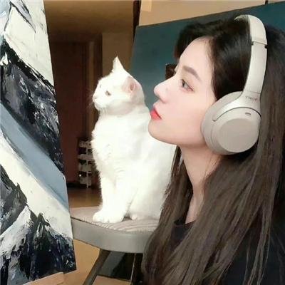 好猫咪咪